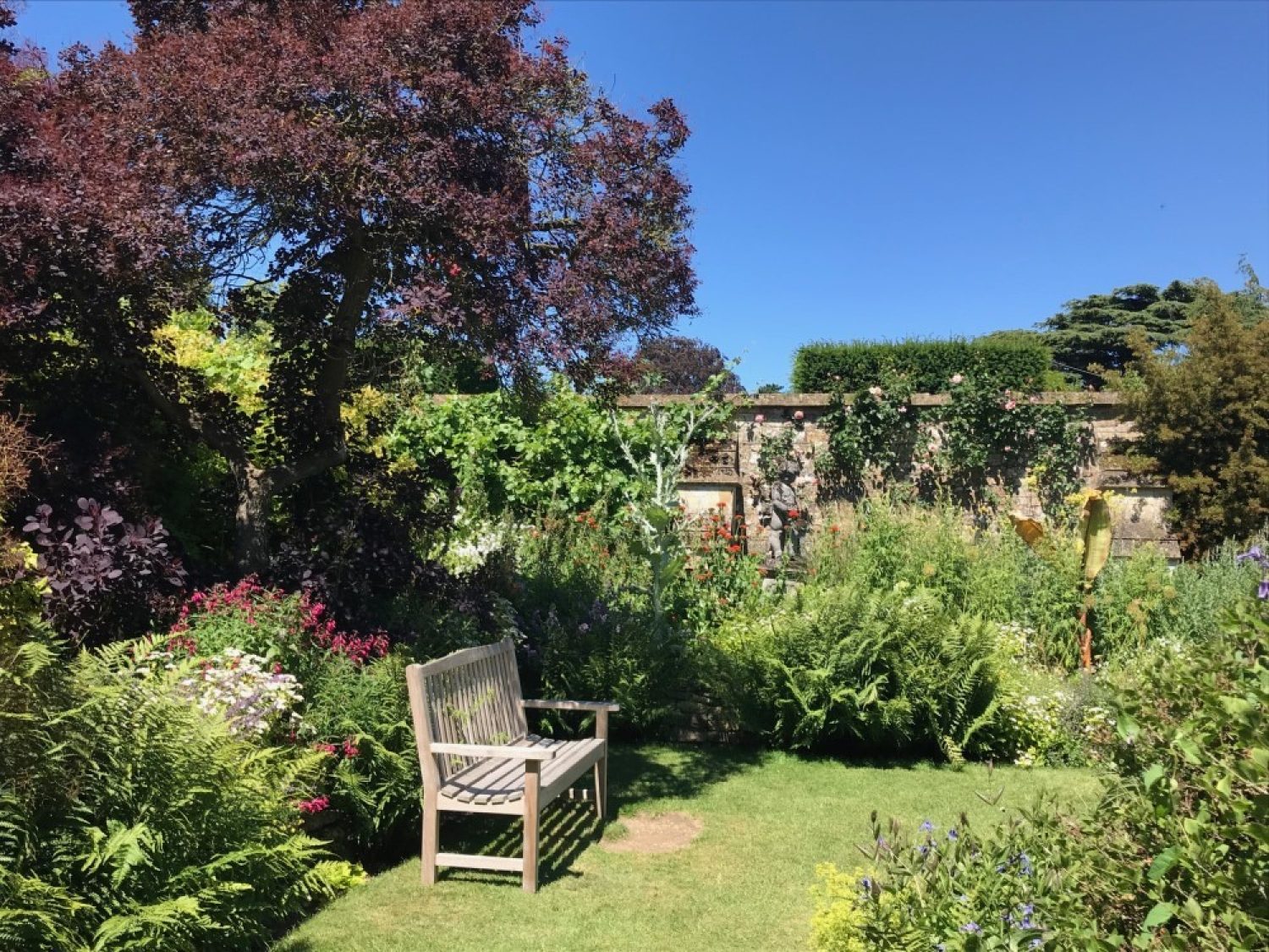 A bench sits in the shade of a tree in the Secret Garden