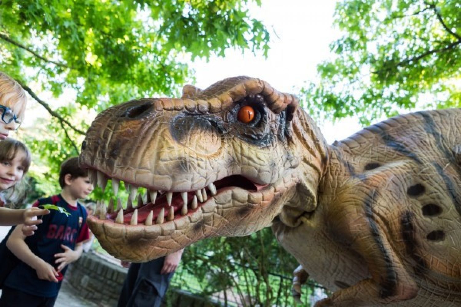 Photo of an animatronic T-Rex dinosaur named Denzel