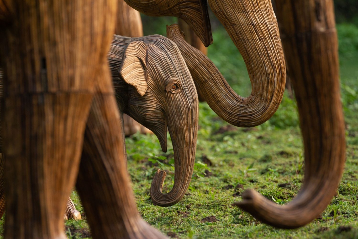 Life size baby elephant sculptures surrounded by adult elephant trunks