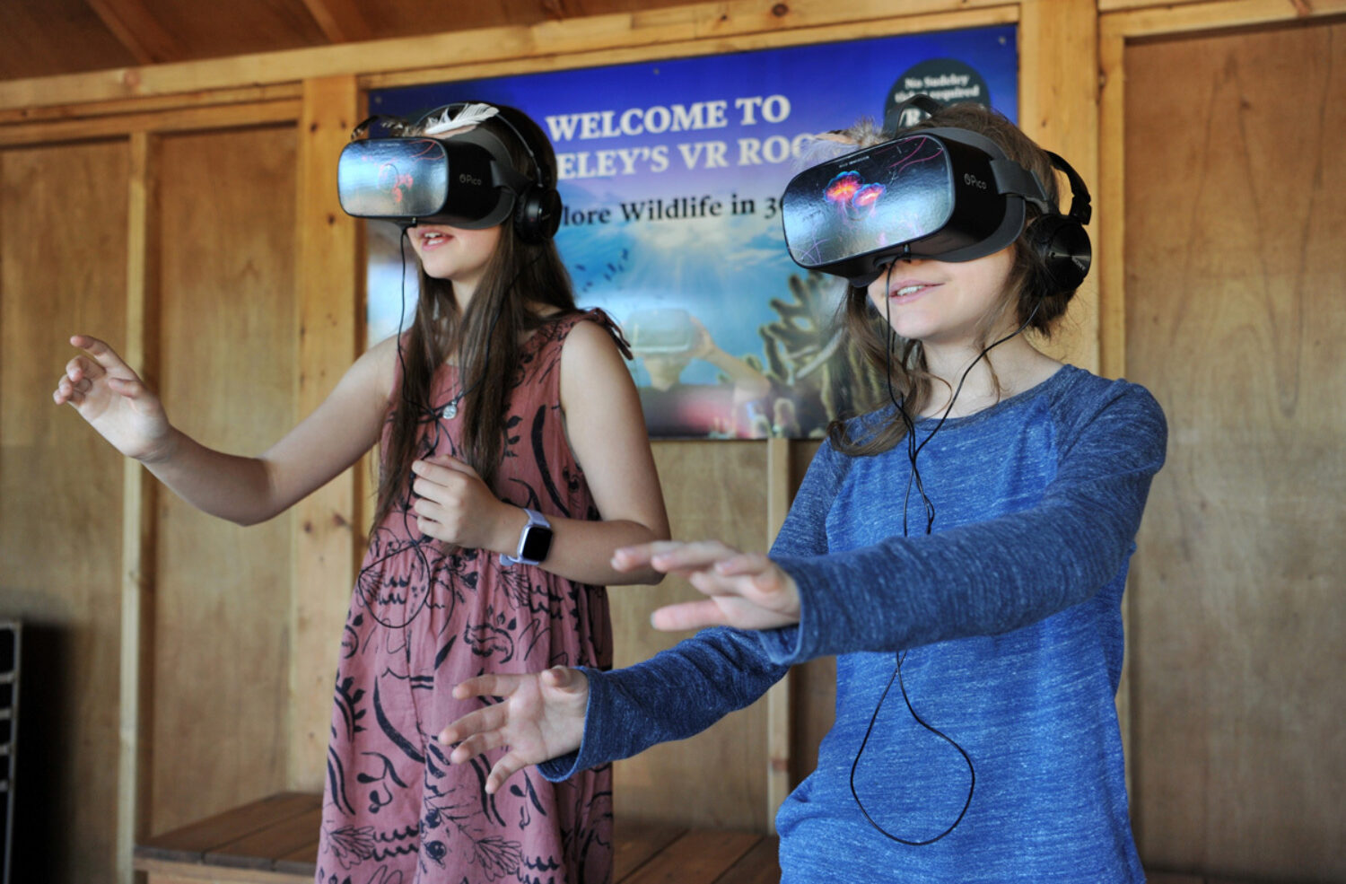 Sudeley's Animal Ark Virtual Reality Experience