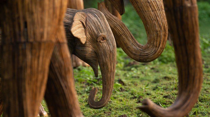 Herd of six asian elephants sculptures at watering hole