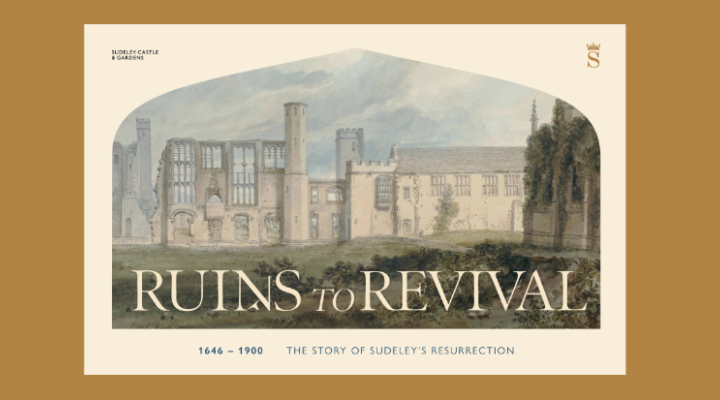 Image for Ruins to Revival