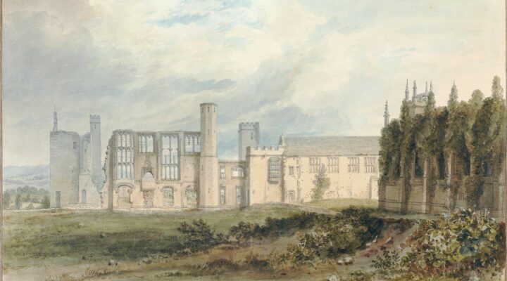Image for Ruins to Revival