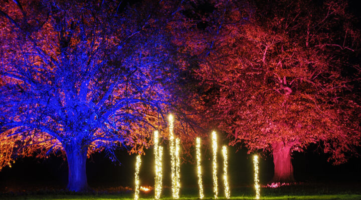 Image for CANCELLATION - Spectacle of Light, Saturday 7th December