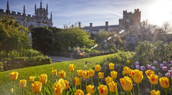 Image for Discover our beautiful Cotswold gardens