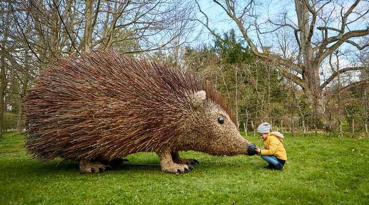 Image for Living life on the hedge: Giant hedgehog takes up residence at Sudeley Castle