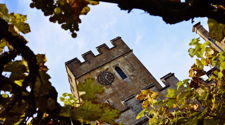 Autumn at Sudeley