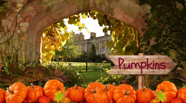 Halloween at the Castle