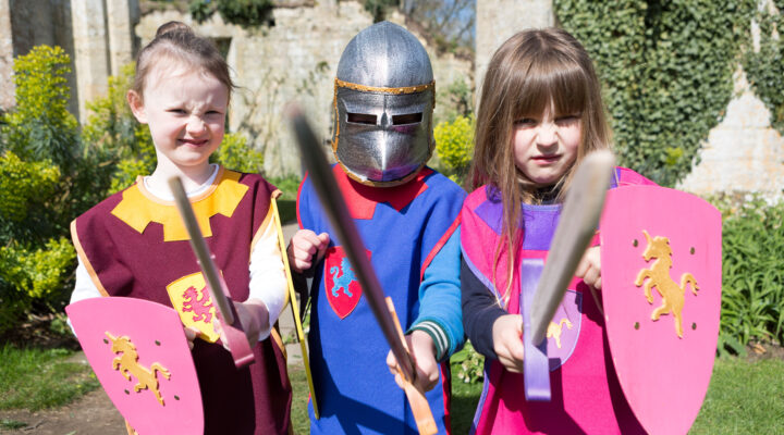 Knight School