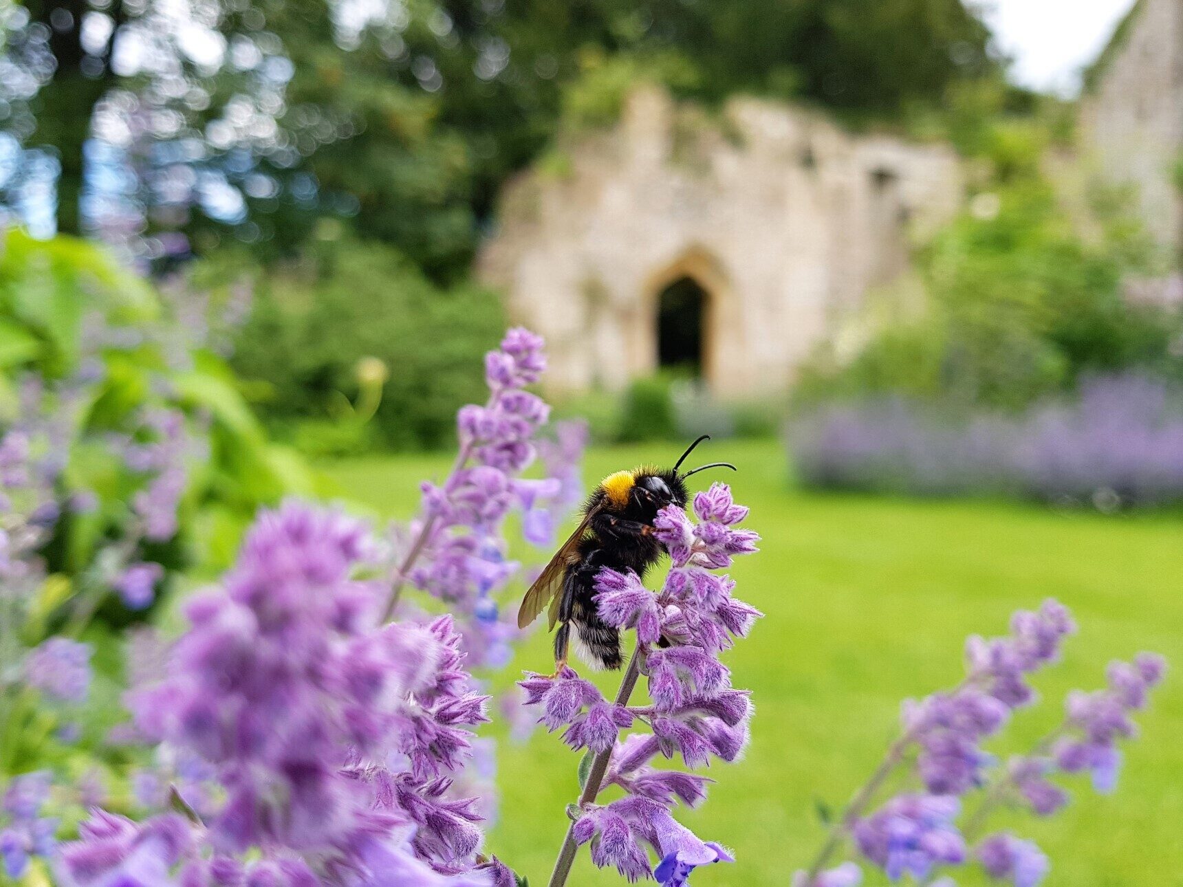 Sudeley's gardens are a haven for bees and insects, now they have their very own 'Bugeley Castle'