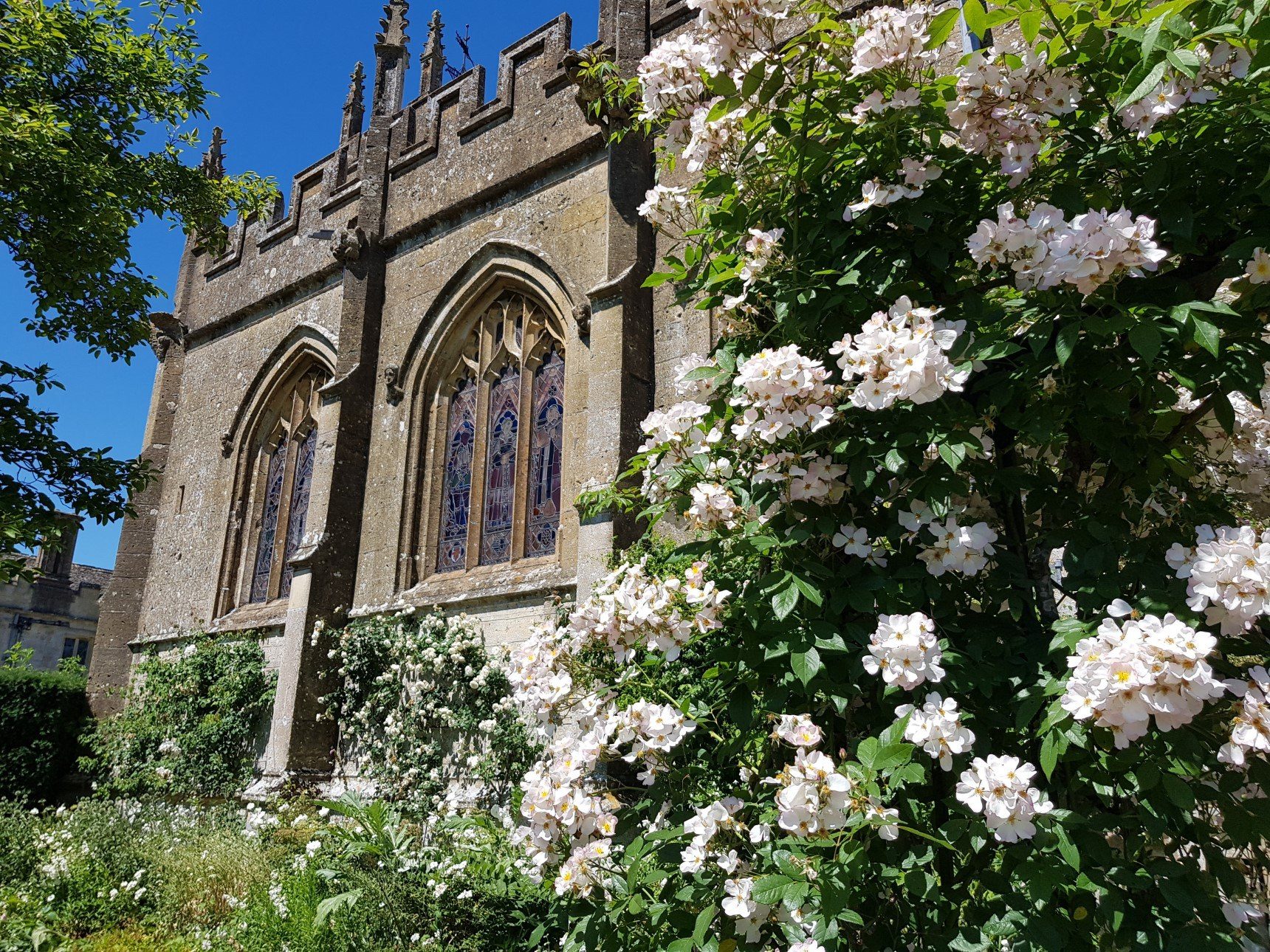 White garden in bloom to side of St Mary's Church