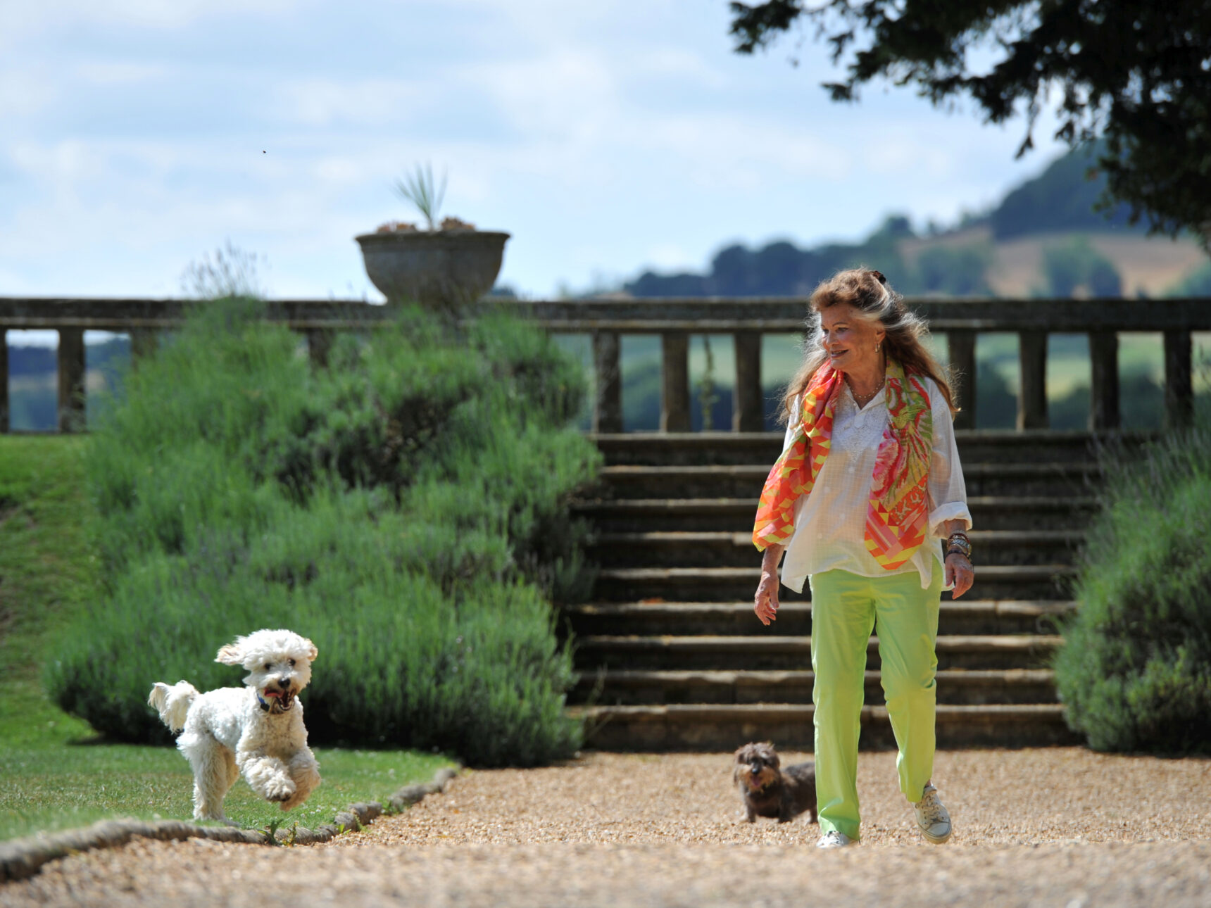 A day for dogs to enjoy Sudeley!