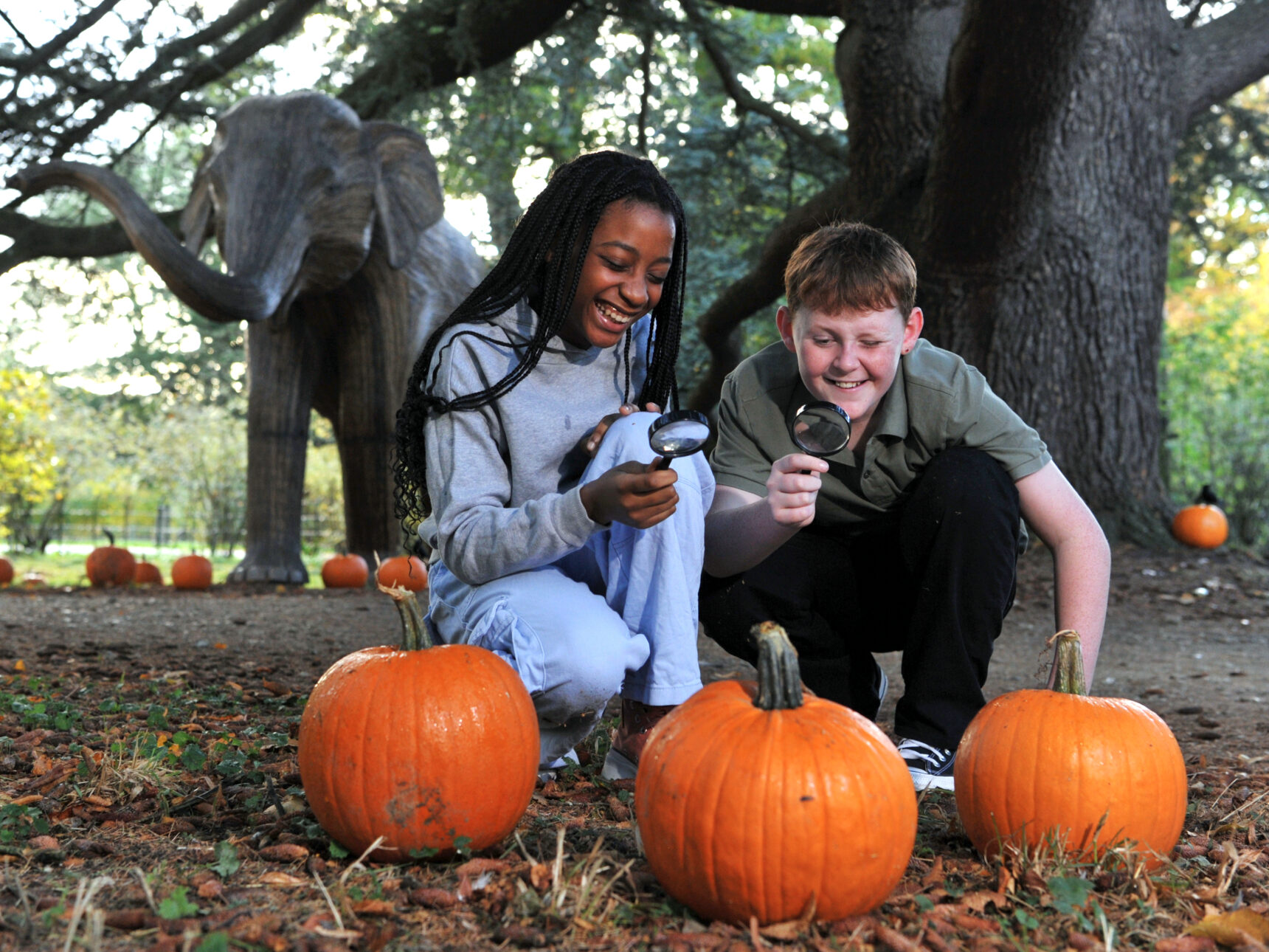 Find the protective 'witches marks' in each pumpkin zone