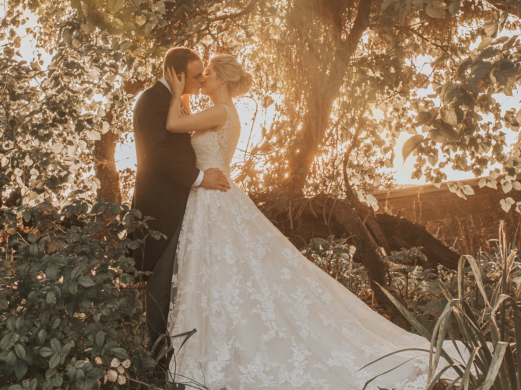 Wedding couple seen in Mulberry Trees with sunset