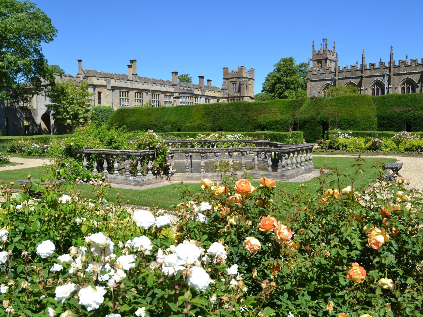 The Queen's Garden with white and orange roses showing views of castle and church