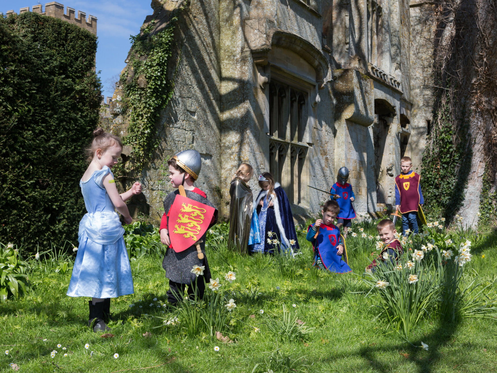 Knights and princesses