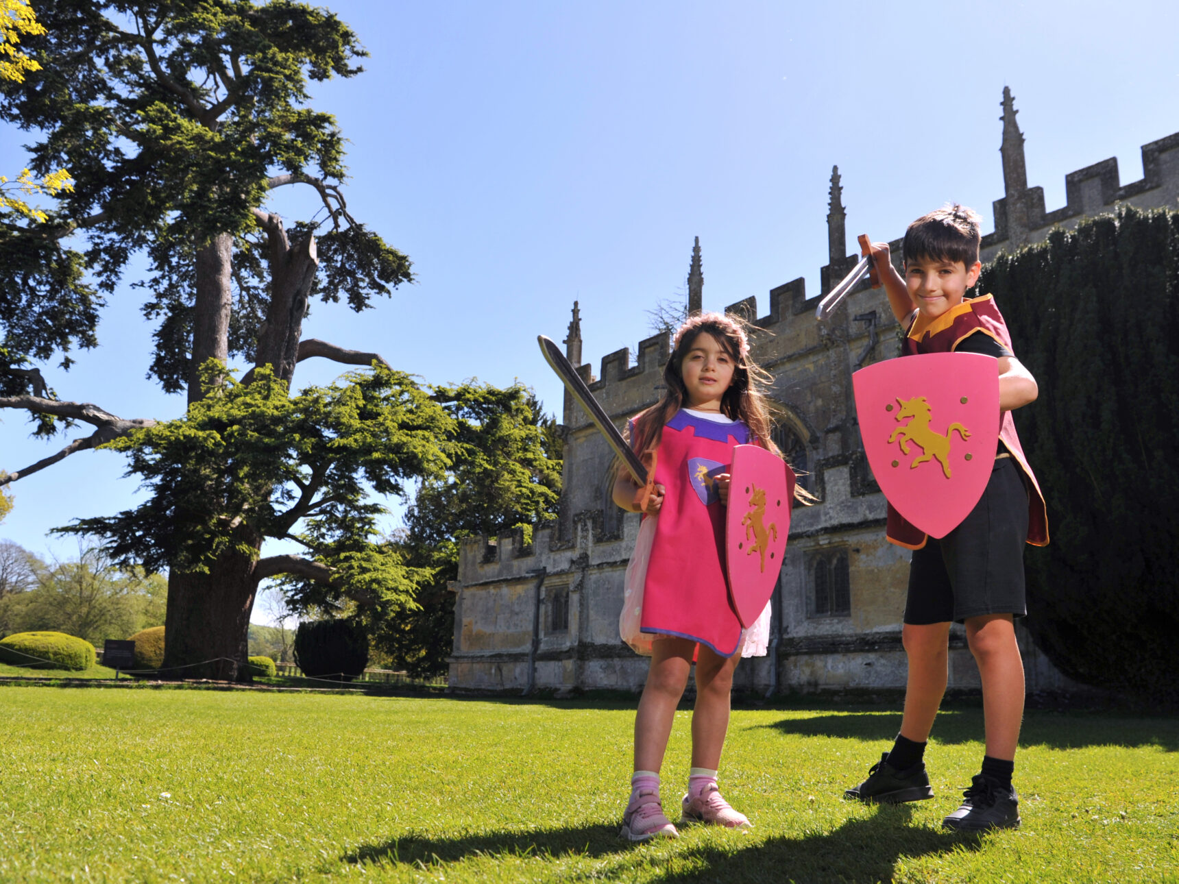 Knights and princesses