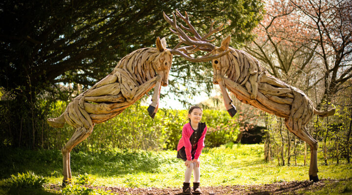 May Half Term Nature Week